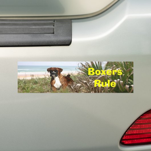 Boxer-Regel-Autoaufkleber Autoaufkleber (Auf Auto)