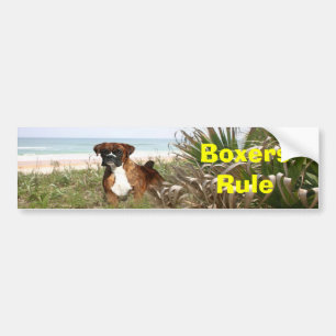 Boxer-Regel-Autoaufkleber Autoaufkleber