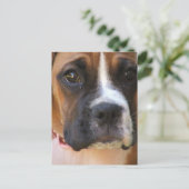 Boxer Rescue Postcard Postkarte (Stehend Vorderseite)
