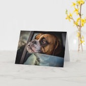 Boxer riecht nach einer GRILLEN Karte (Gelbe Blume)