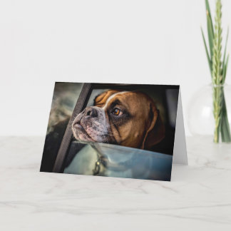 Boxer riecht nach einer GRILLEN Karte