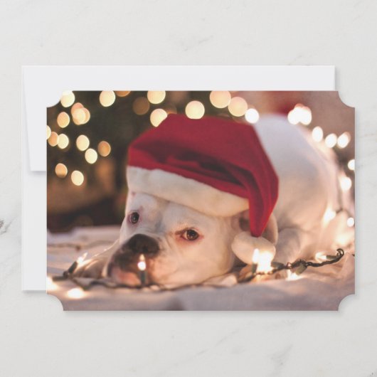 Boxer Santa Feiertagskarte (Vorderseite)