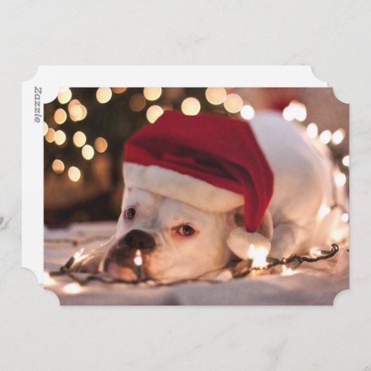 Boxer Santa Feiertagskarte (Vorne/Hinten)