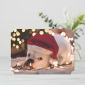 Boxer Santa Feiertagskarte (Stehend Vorderseite)