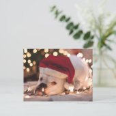 Boxer Santa Feiertagspostkarte (Stehend Vorderseite)