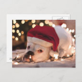 Boxer Santa Feiertagspostkarte (Vorne/Hinten)
