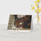 Boxer Schlafen in der Lebensmittelschale Geburtsta Karte (Gelbe Blume)