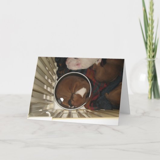 Boxer Schlafen in der Lebensmittelschale Geburtsta Karte (Vorderseite)