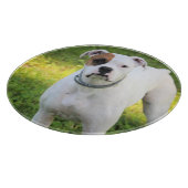 Boxer Schneidebrett (Ecke)