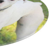 Boxer Schneidebrett (Ecke)