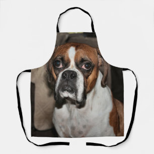 Boxer Schürze