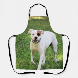 Boxer Schürze