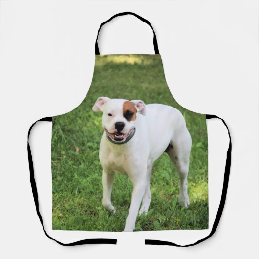 Boxer Schürze (Vorderseite)