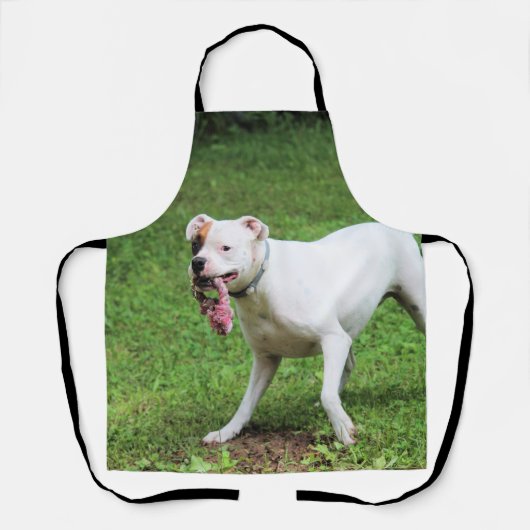 Boxer Schürze (Vorderseite)