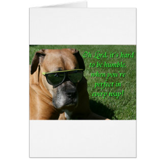 Boxer: schwer zu demütigen