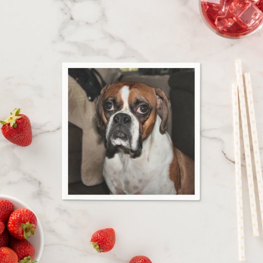 Boxer Serviette (Beispiel)