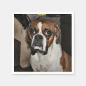 Boxer Serviette (Vorderseite)