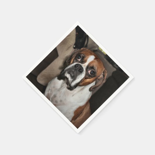 Boxer Serviette (Ecke)