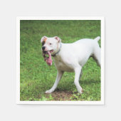 Boxer Serviette (Vorderseite)