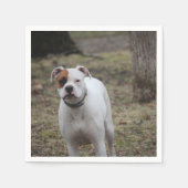 Boxer Serviette (Vorderseite)