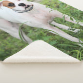 Boxer Sherpadecke (3/4)