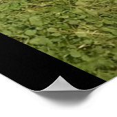 BOXER SIND BESONDERES Plakat (Ecke)