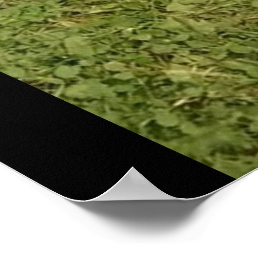 BOXER SIND BESONDERES Plakat (Ecke)