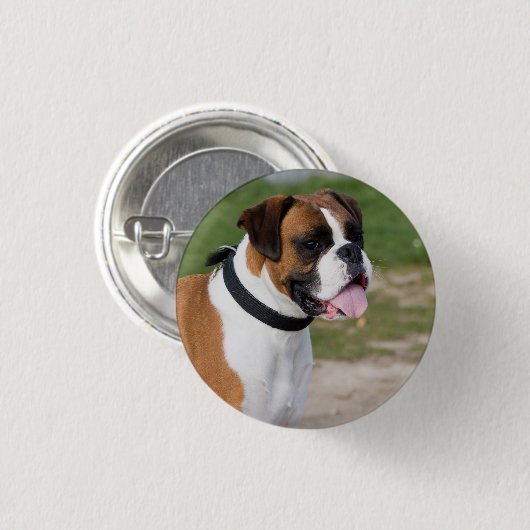 Boxer Sitting Button (Vorne & Hinten)