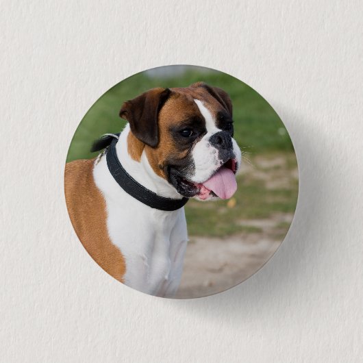 Boxer Sitting Button (Vorderseite)