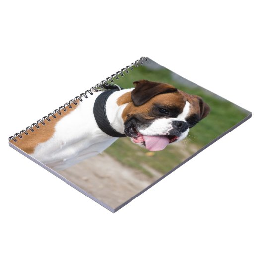 Boxer Sitting Notizblock (Linke Seite)