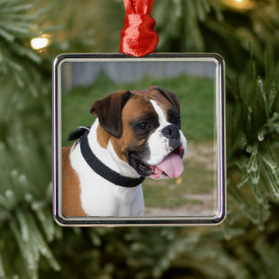 Boxer Sitting Ornament Aus Metall