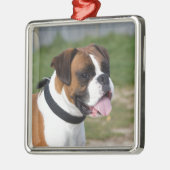 Boxer Sitting Ornament Aus Metall (Links)