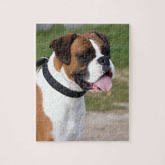 Boxer Sitting Puzzle (Vertikal)