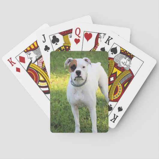 Boxer Spielkarten (Rückseite)