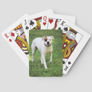 Boxer Spielkarten