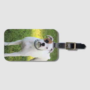 Boxer Spielkarten Gepäckanhänger