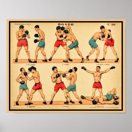 Boxer Stance and Punches der 1920er Jahre Poster (Vorne)