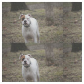 Boxer Stoff (Nahaufnahme)