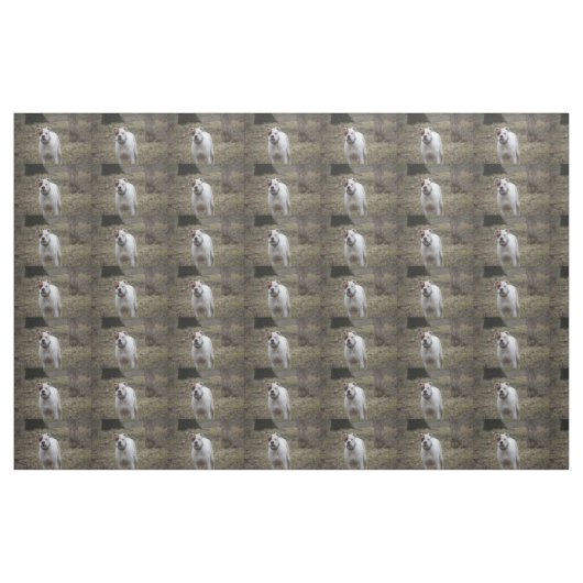 Boxer Stoff (Fat Quarter (45,7 x 55,9 cm))