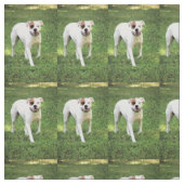 Boxer Stoff (Muster)