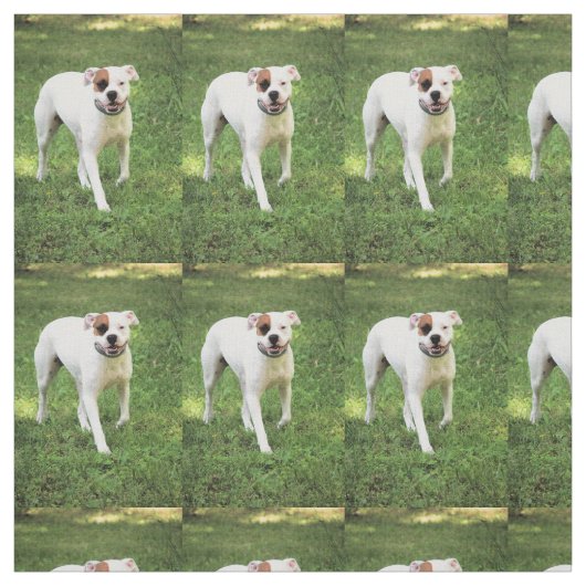 Boxer Stoff (Muster)