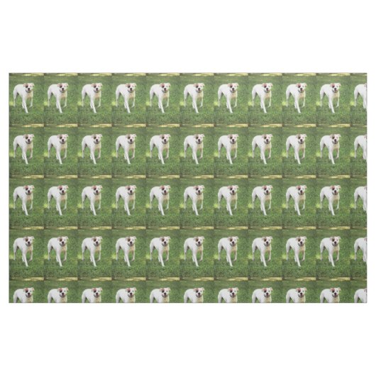 Boxer Stoff (Fat Quarter (45,7 x 55,9 cm))