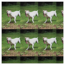 Boxer Stoff