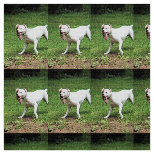 Boxer Stoff (Muster)