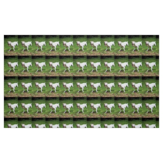 Boxer Stoff (Fat Quarter (45,7 x 55,9 cm))