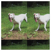 Boxer Stoff (Nahaufnahme)