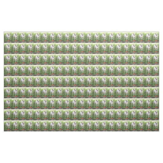Boxer Stoff (Yard (91,4 cm))