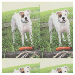 Boxer Stoff