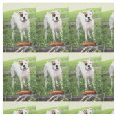 Boxer Stoff (Muster)