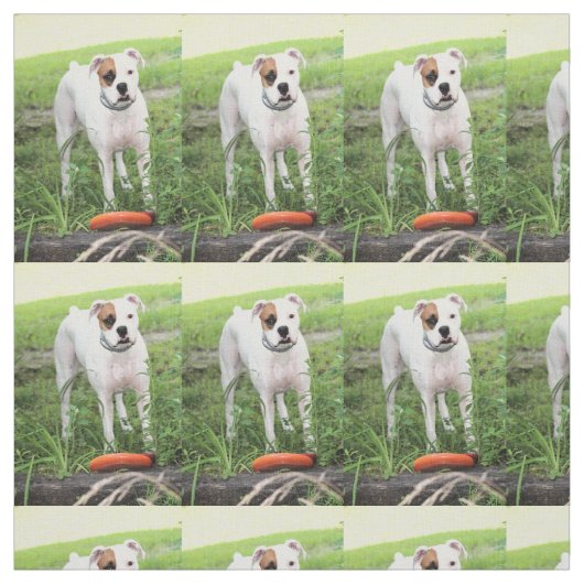 Boxer Stoff (Muster)